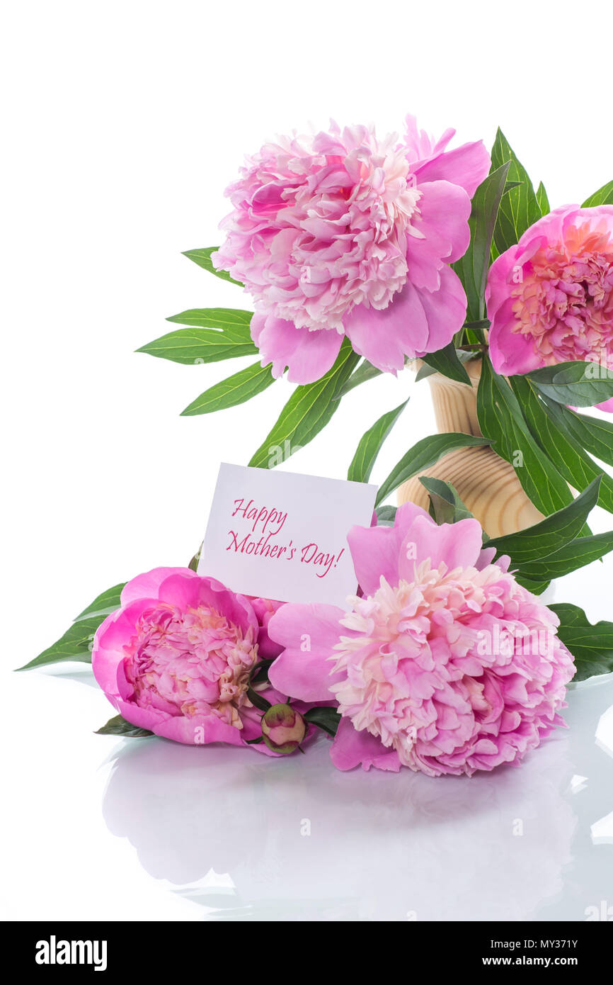 bouquet of blooming peonies on white background Stock Photo - Alamy