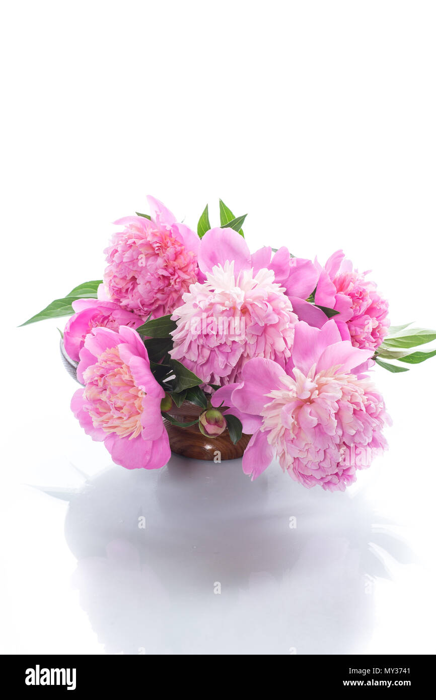 bouquet of blooming peonies on white background Stock Photo - Alamy