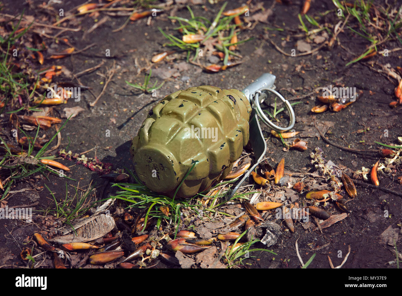 hand grenade grenade lying on the ground. Stock Photo