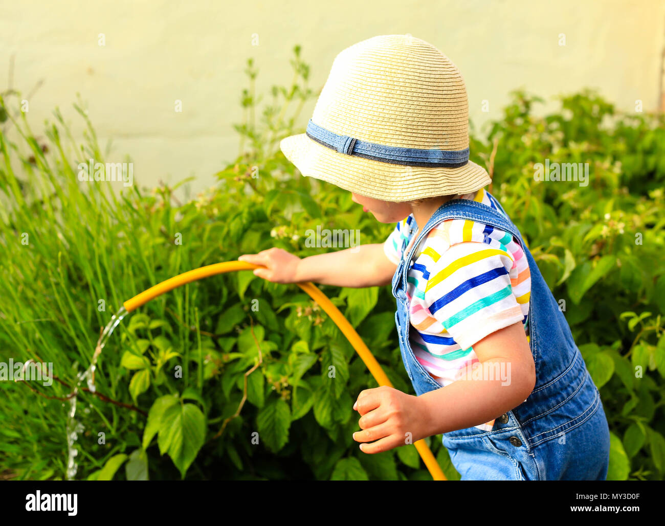 Young child watering flowers in summer in UK Stock Photo Alamy