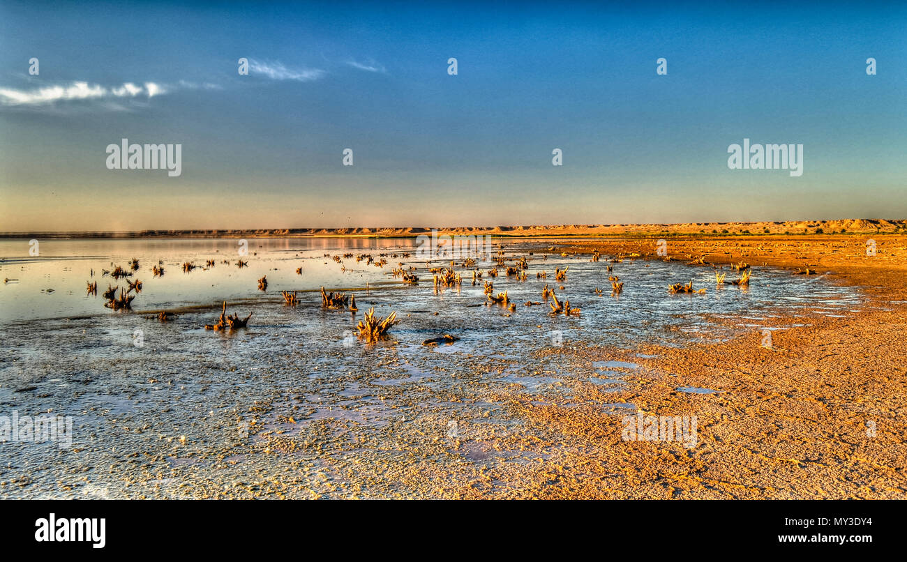 Najaf Stock Photos & Najaf Stock Images - Alamy