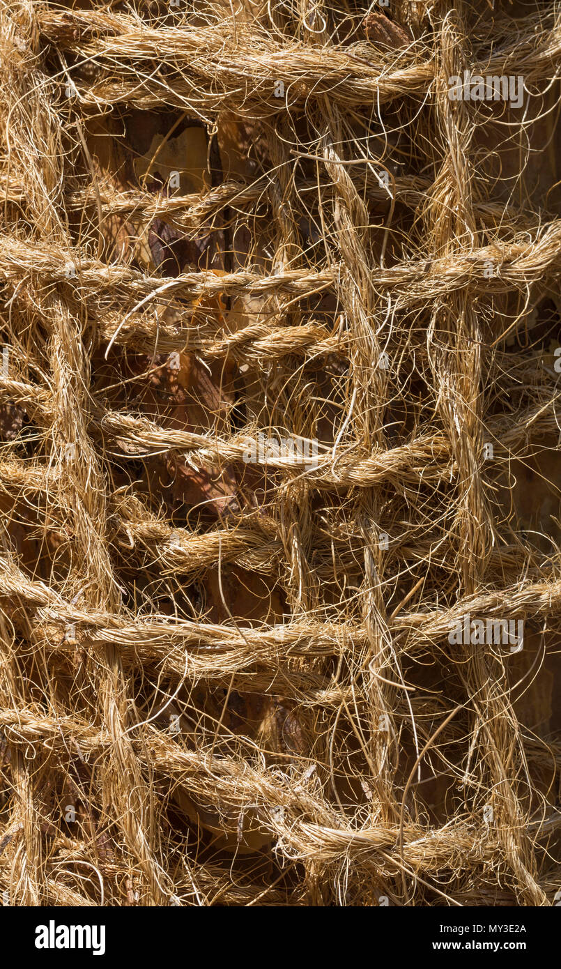 Abstract view of a coconut rope. Unusual texture background. Close up. Stock Photo