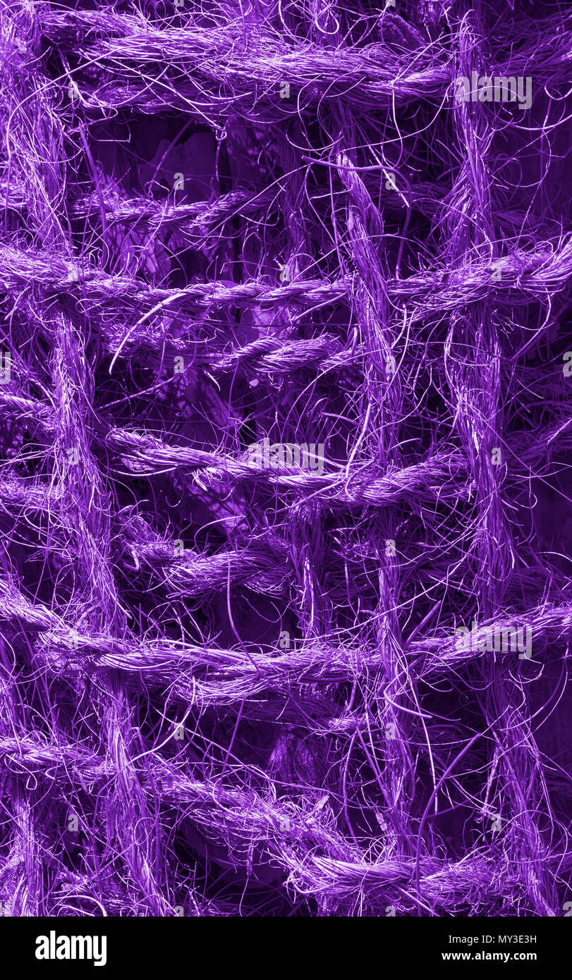 Abstract view of a coconut rope toning in ultra violet. Unusual texture background. Close up. Stock Photo