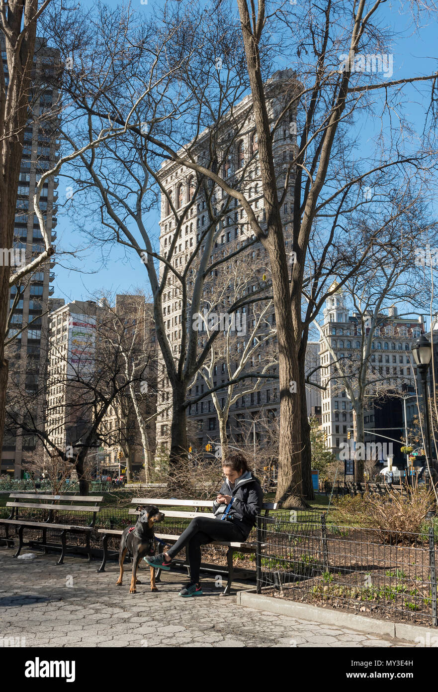 Madison Square Park and Flatiron Building, Manhattan, New York City, USA Stock Photo