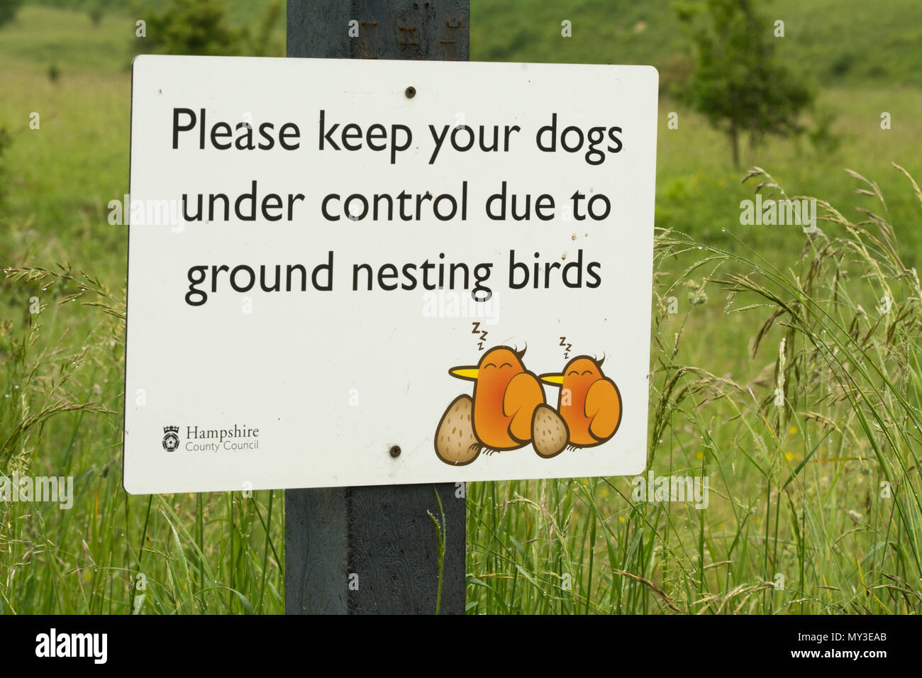 Amusing sign at Martin Down National Nature Reserve asking dog walkers to keep their dogs under control due to ground nesting birds Stock Photo