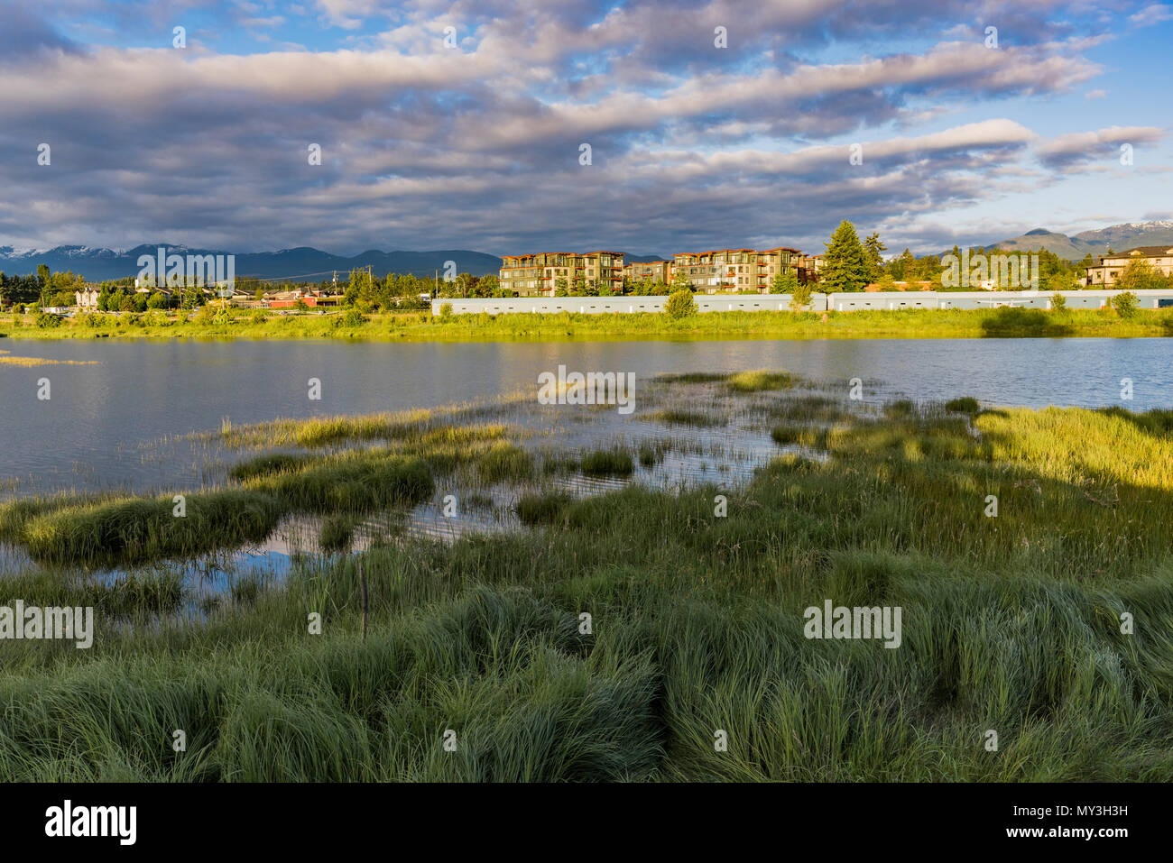 Lagoon, Courtenay Riverway and AirPark, Courtenay, Comox Valley