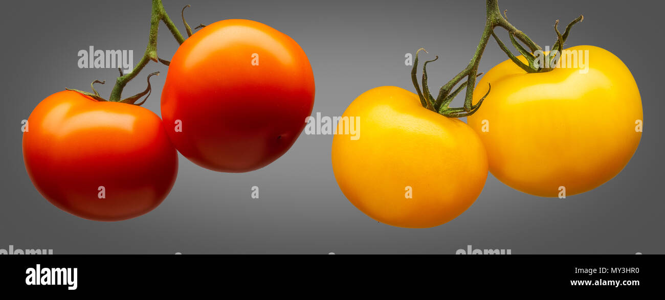 Group of red tomatoes isolated on grey background Stock Photo - Alamy