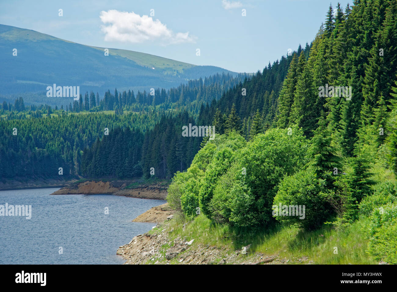 Road trip true the wonderful nature and landscape of Romania Stock ...