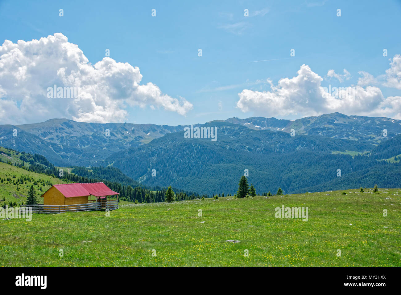 Road trip true the wonderful nature and landscape of Romania Stock ...