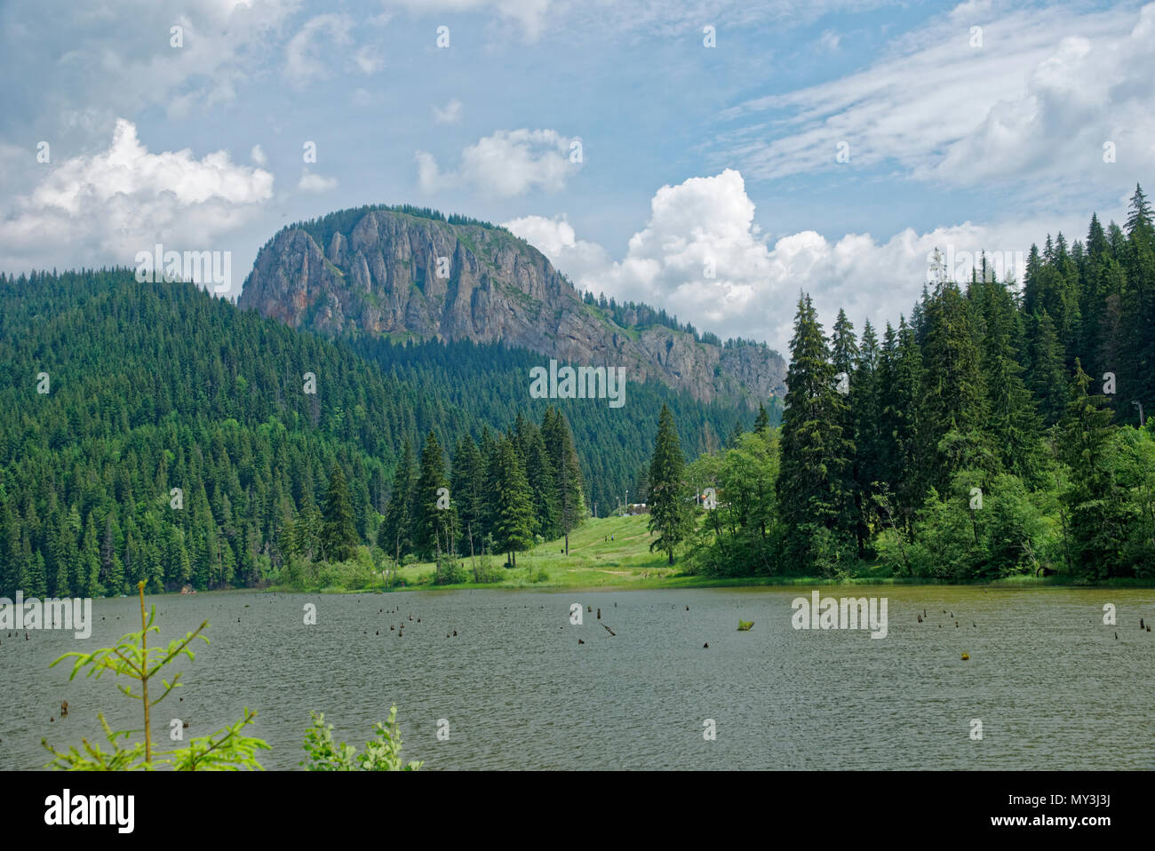 Road trip true the wonderful nature and landscape of Romania Stock ...