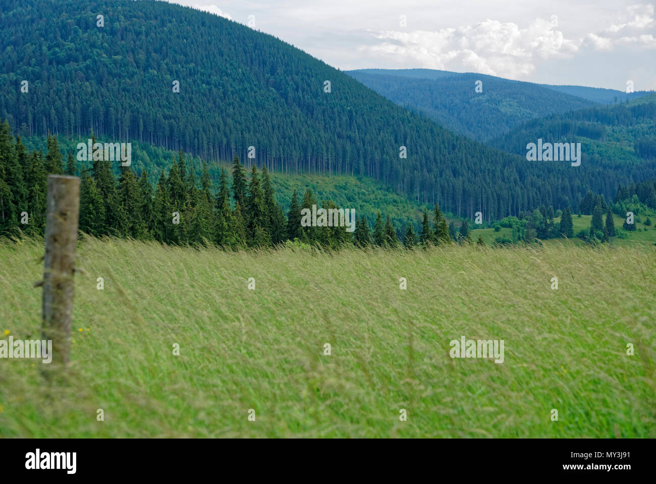 Road trip true the wonderful nature and landscape of Romania Stock ...