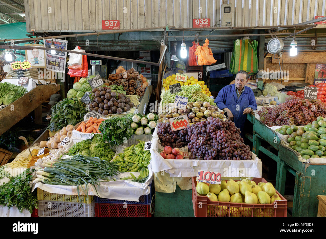 Santiago, Chile: Vega Market aka Mercado Vega is the place to go for fresh and regional produce Stock Photo