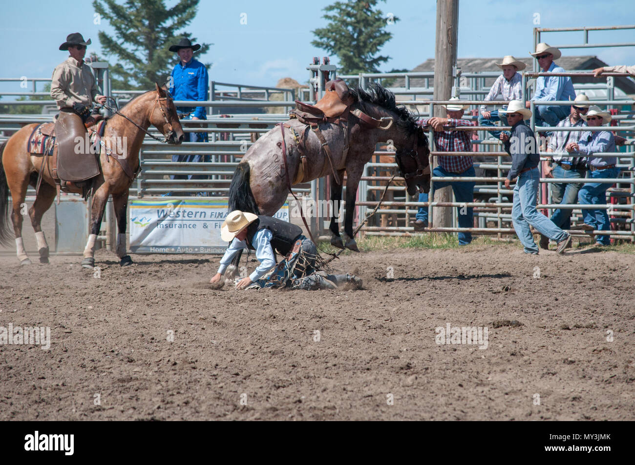 Amateur Saddlebronc rodeo competition. Nanton Nite Rodeo, Nanton ...