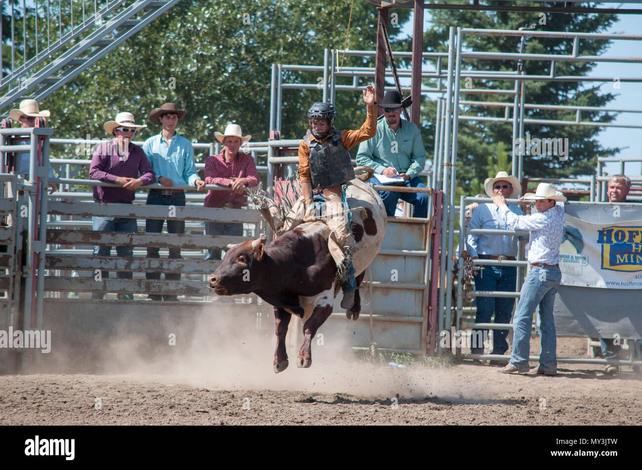 Bull rider in an amateur bull riding competition
