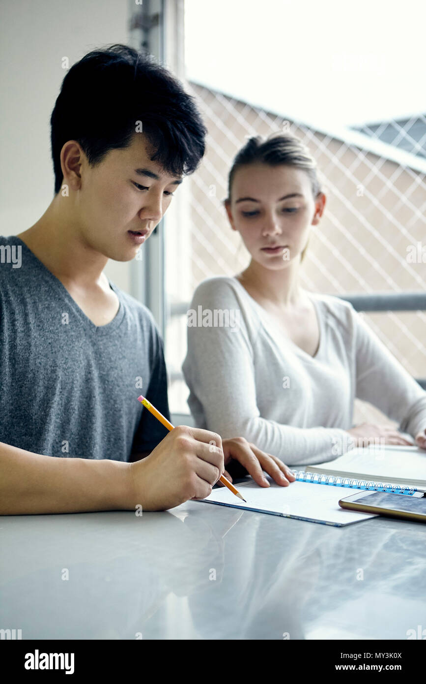 Classmates studying together Stock Photo