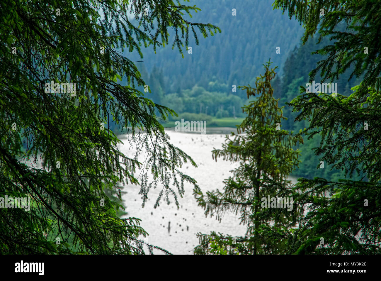 Road trip true the wonderful nature and landscape of Romania Stock ...
