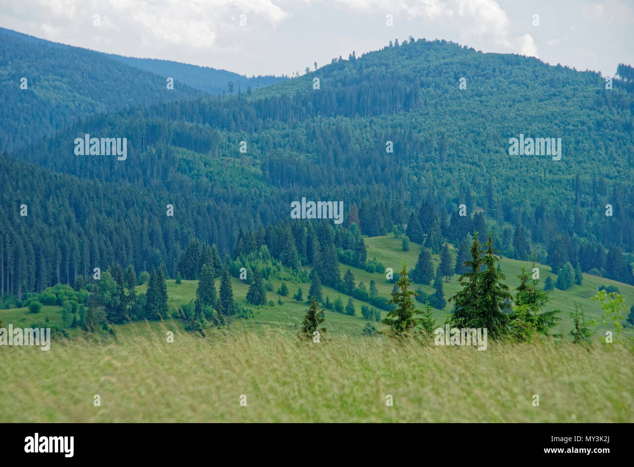 Road trip true the wonderful nature and landscape of Romania Stock ...