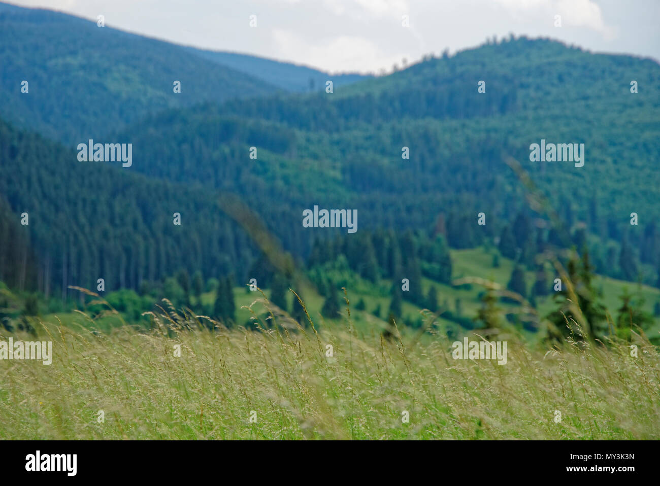 Road trip true the wonderful nature and landscape of Romania Stock ...