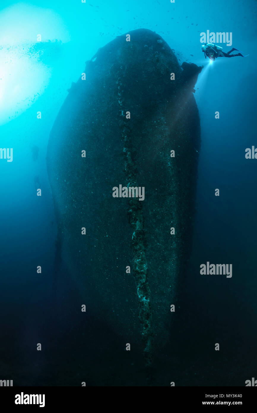 Diver explores sunken shipwreck Stock Photo