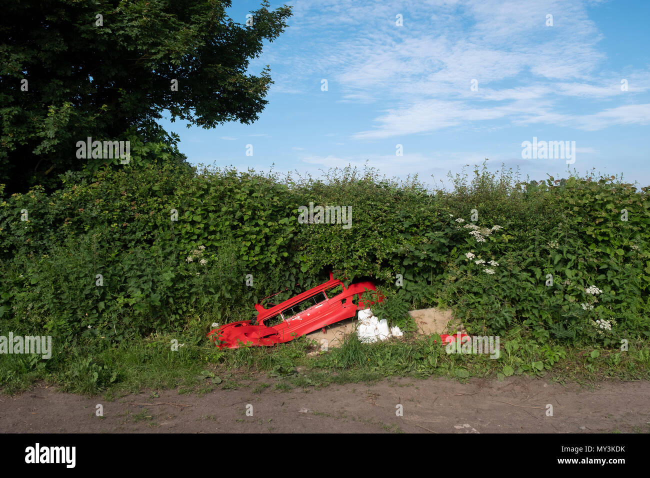 Part of the front end of a red car body is dumped in a hedgerow in the Worcestershire Countryside, UK. Stock Photo