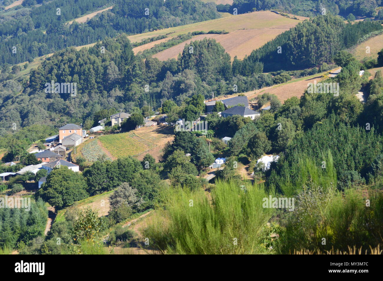View Of The Village Of Rebedul From The Top Of The Meadows Of The Mountains Of Galicia. Travel Flowers Nature. August 18, 2016. Rebedul, Becerrea Lugo Stock Photo
