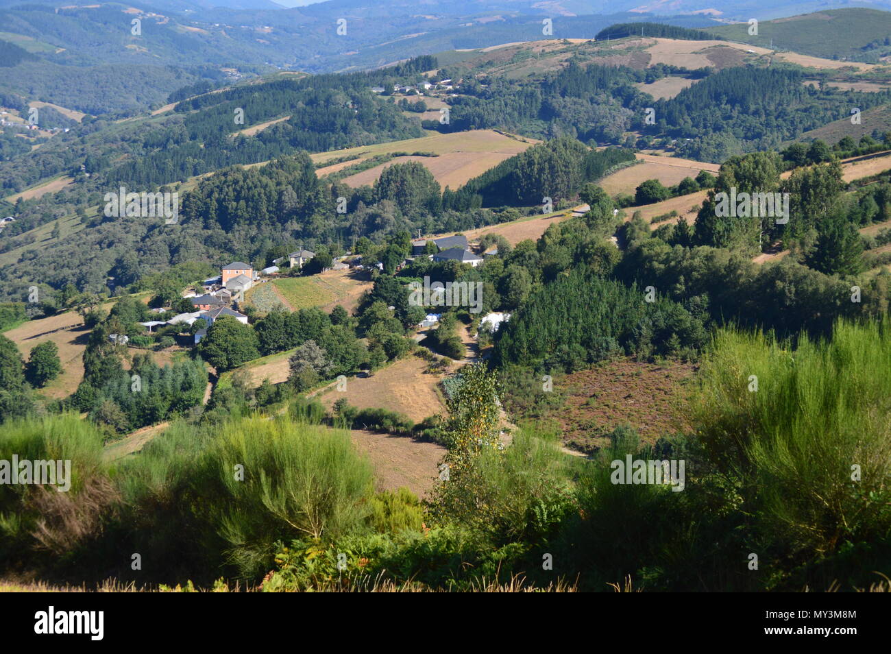 View Of The Village Of Rebedul From The Top Of The Meadows Of The Mountains Of Galicia. Travel Flowers Nature. August 18, 2016. Rebedul, Becerrea Lugo Stock Photo