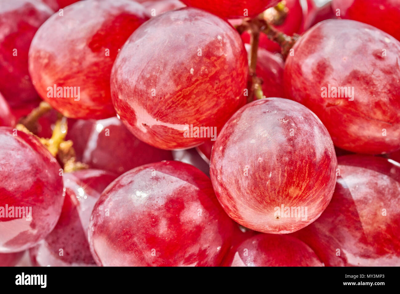 Red grapes fresh fruit hi-res stock photography and images - Page 2 - Alamy