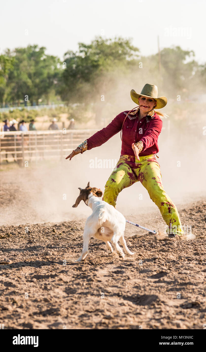Cowgirl at rodeo goat roping event heads off the goat Stock Photo Alamy