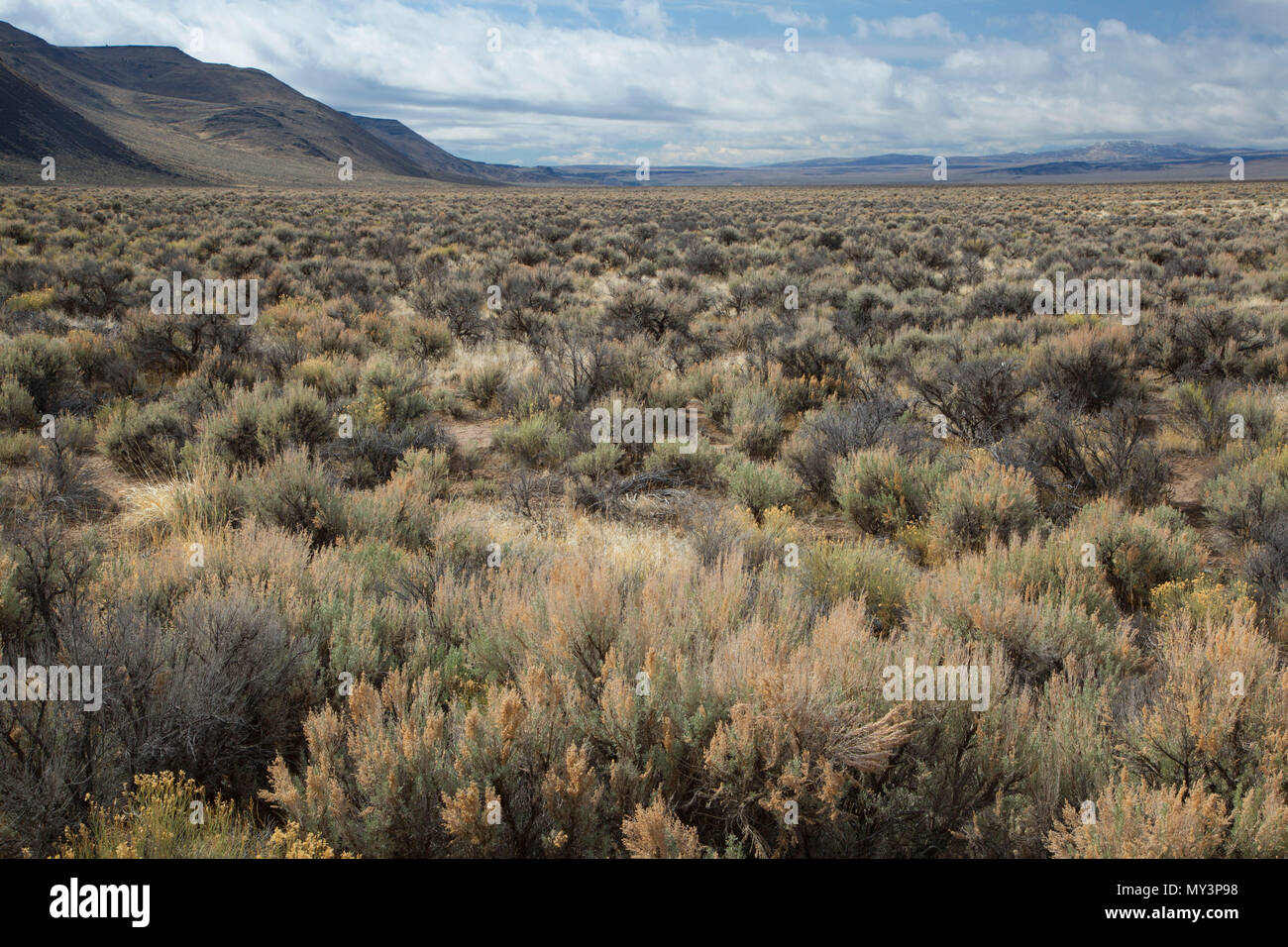 Guano Valley, Lakeview District Bureau of Land Management, Oregon Stock