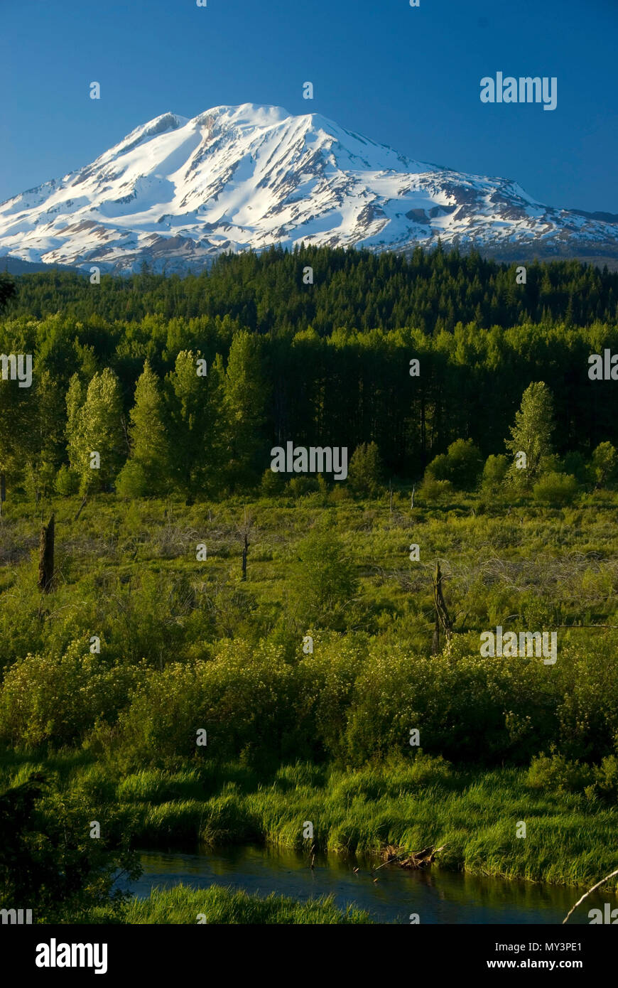 At trout lake hi-res stock photography and images - Alamy