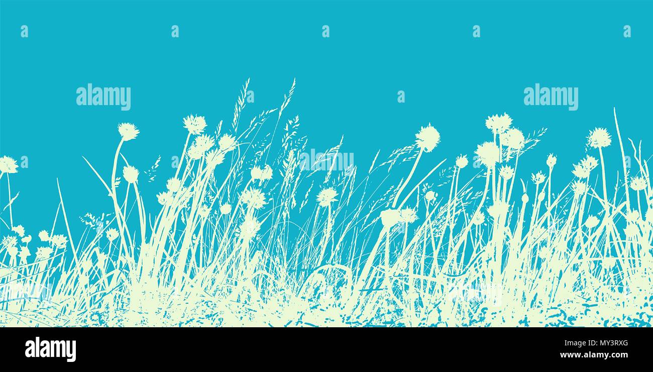 Summer field, illustration of wild flowers, herbs and grasses. Thin lines silhouettes of different plants. Stock Vector