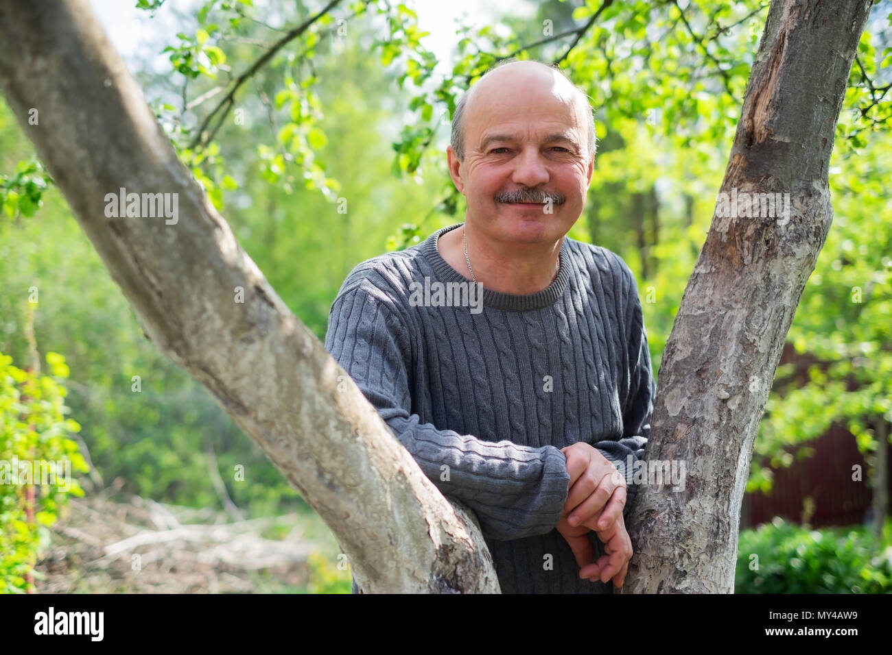 Portrait of confident male gardener standing near fruit tree. Stock Photo