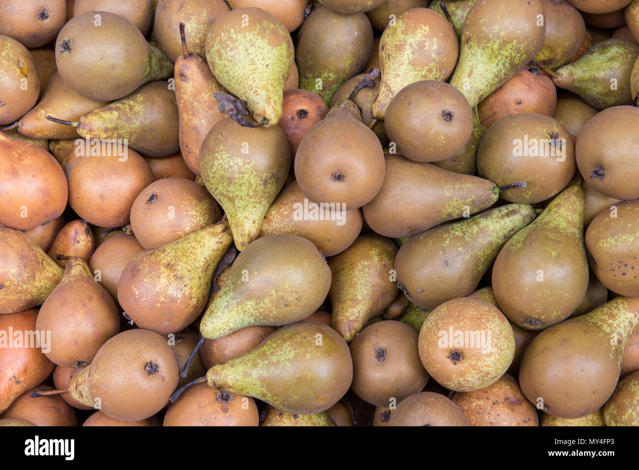 Freshly picked pears in an abstract composition.fresh fruits on display on a market stall. Pears for perry making and healthy eating.good foods health Stock Photo