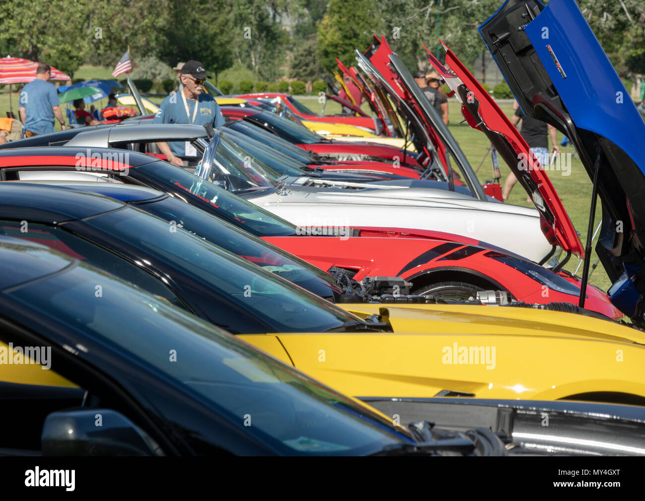 Chevrolet Corvette car rally, Kennewick, Washington, USA Stock Photo