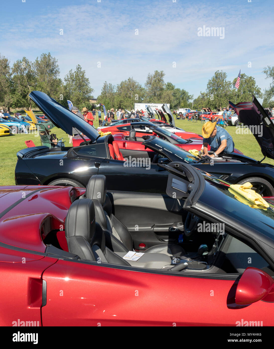 Chevrolet Corvette car rally, Kennewick, Washington, USA Stock Photo