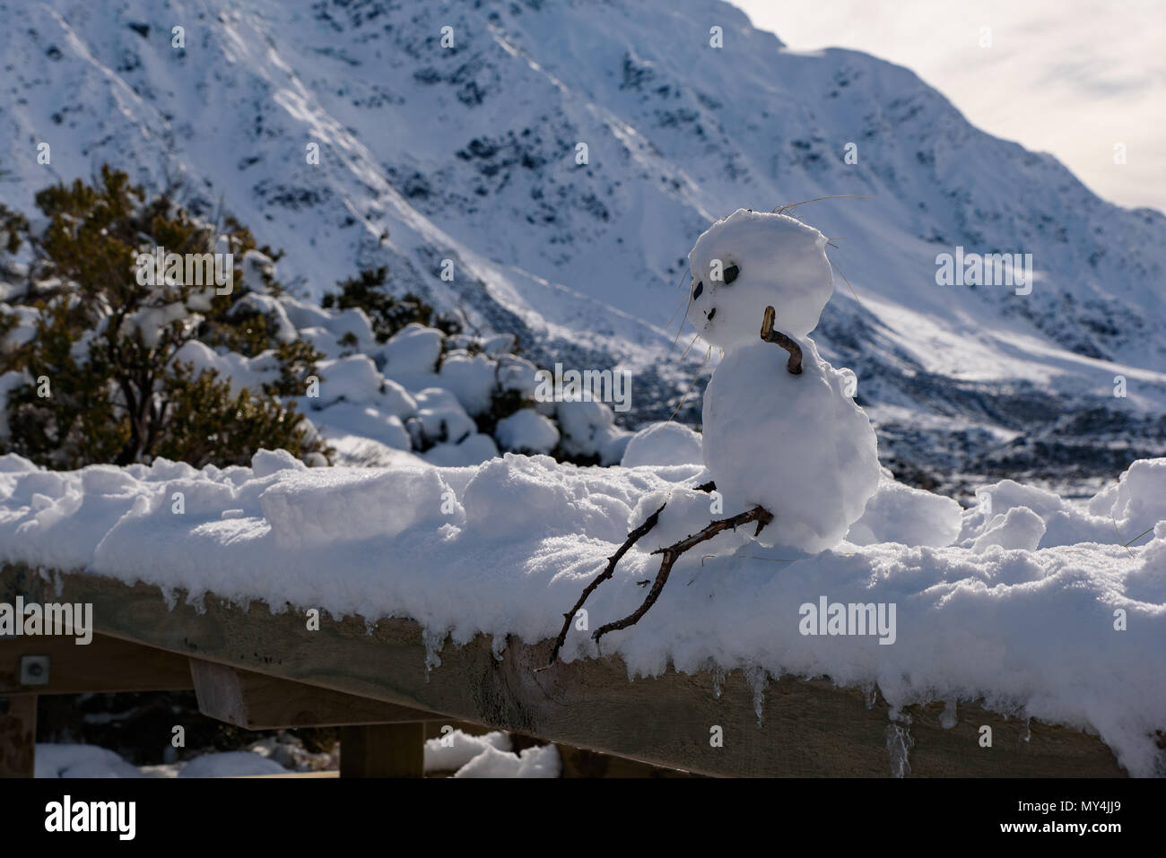Little snow man saying hello, Mt Cook National Park, New Zealand Stock Photo