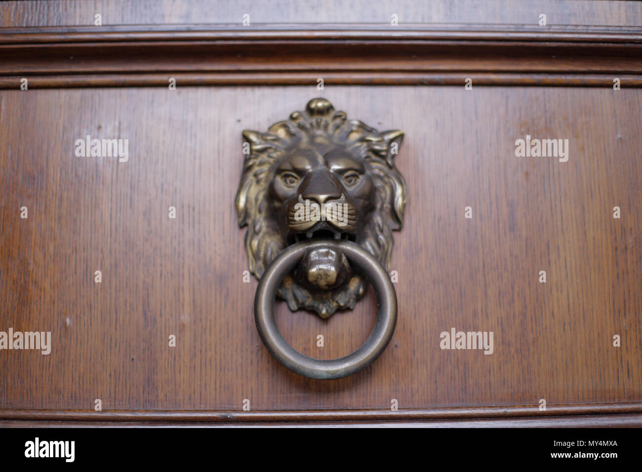 Metal lion door knocker Stock Photo