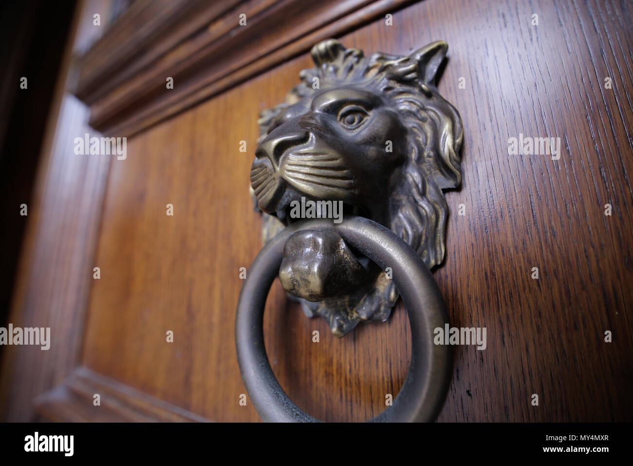 Metal lion door knocker Stock Photo