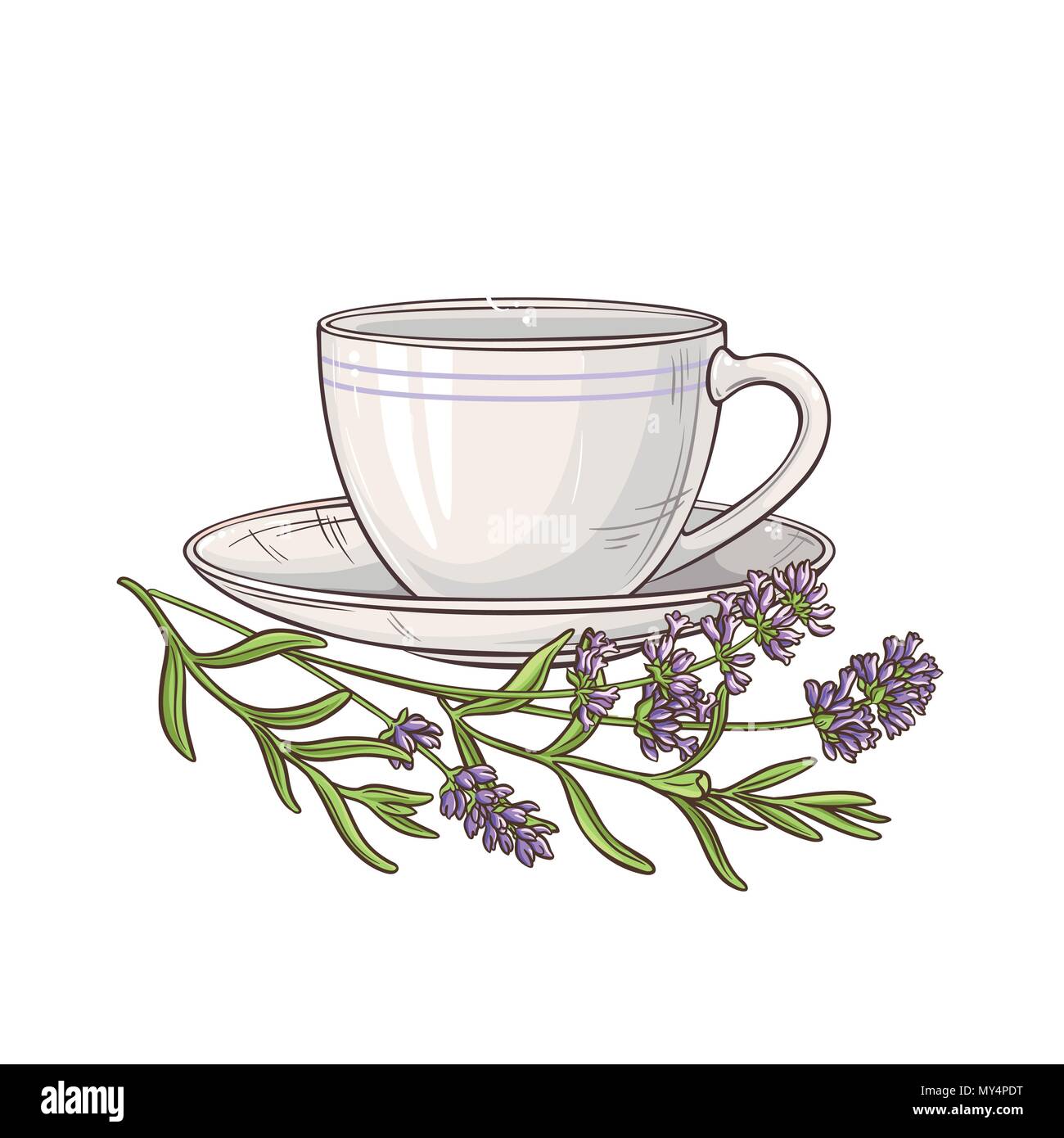 cup of lavender tea illustration on white background Stock Vector