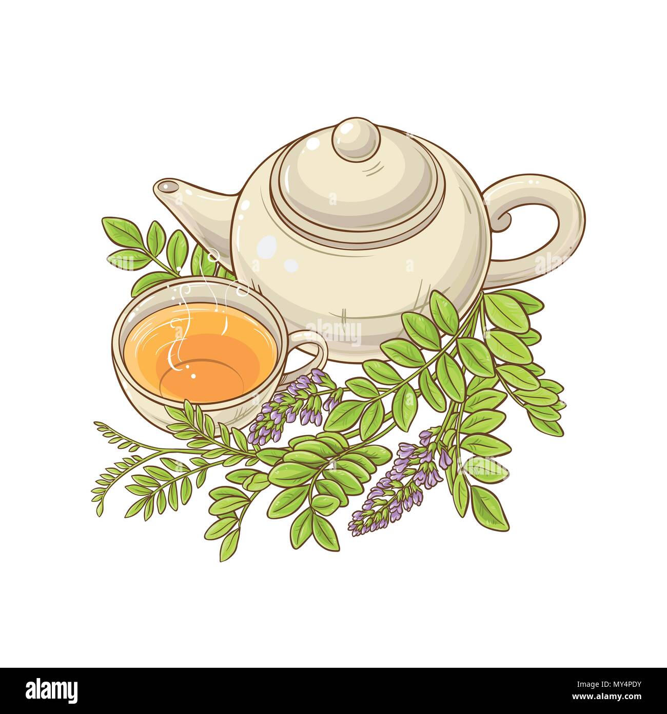 licorice tea in teapot illustration on white background Stock Vector