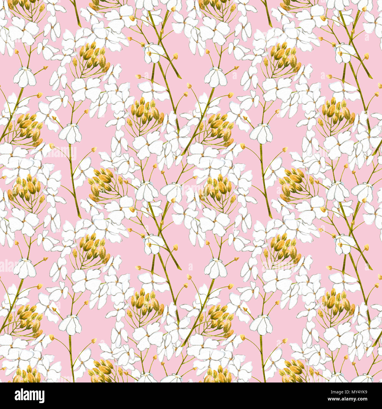 Watercolor horseradish flowers. Seamless pattern. Botanical illustration of organic, eco plant. Illustration For Food Design. Stock Photo