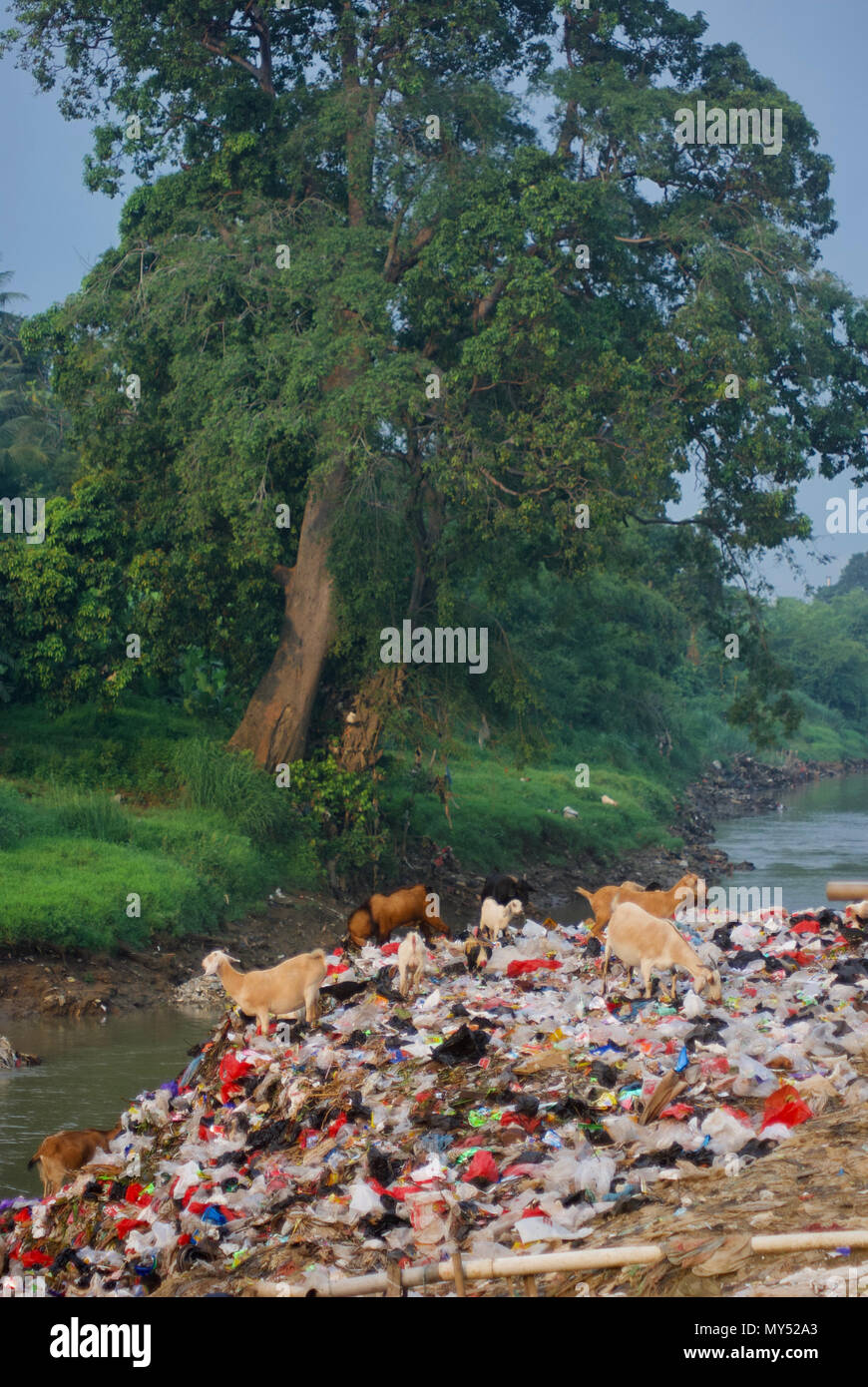 Plastic pollution river hi-res stock photography and images - Alamy