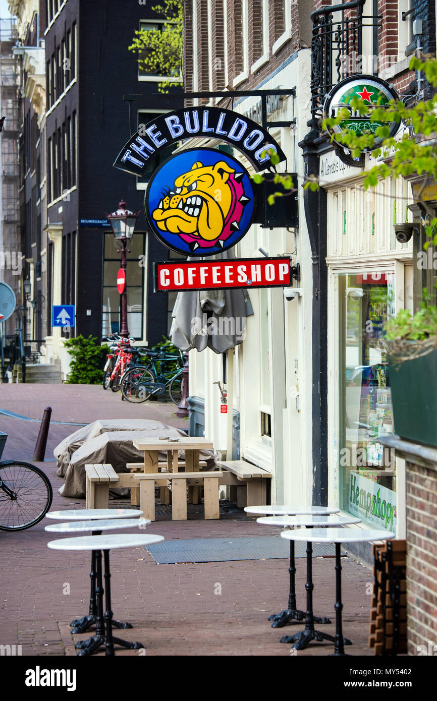 The famous coffeshop Bulldog in Amsterdam city, Netherlands Stock Photo