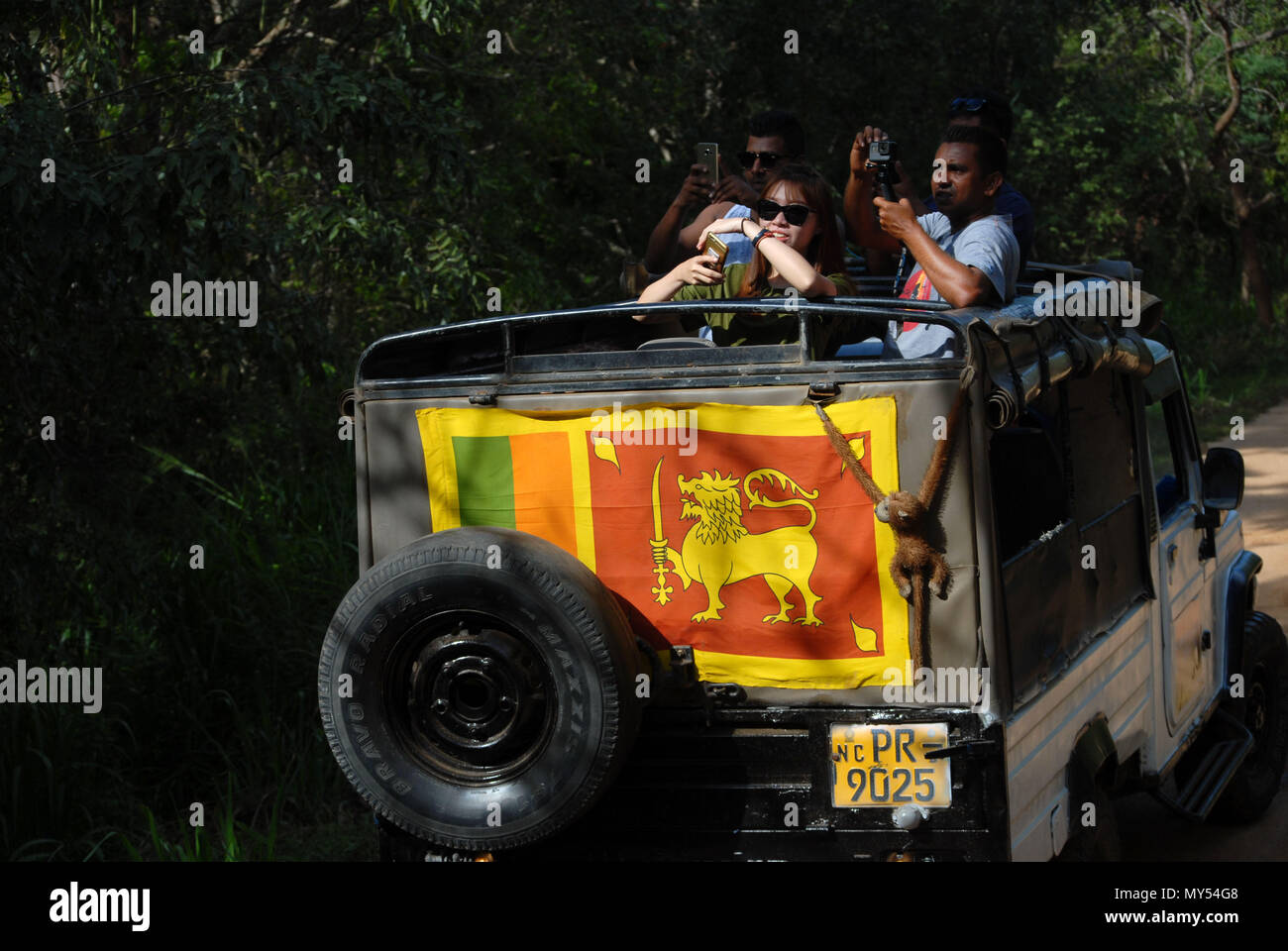 Safari vehicle in Kaudulla National Park, Sri Lanka. Stock Photo