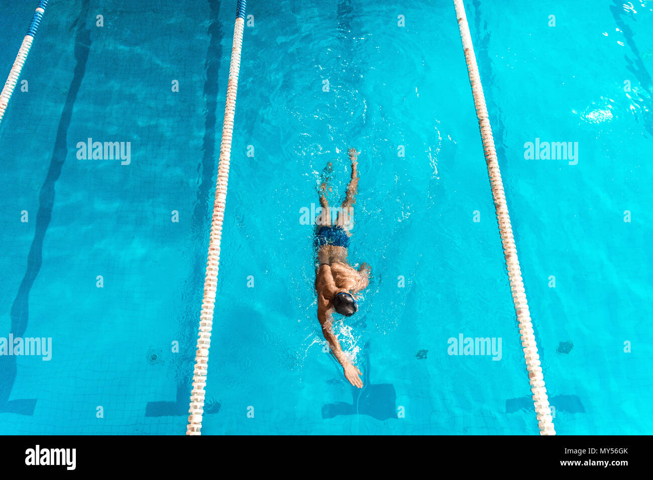 overhead view of swimmer in competition swimming pool with lines Stock ...