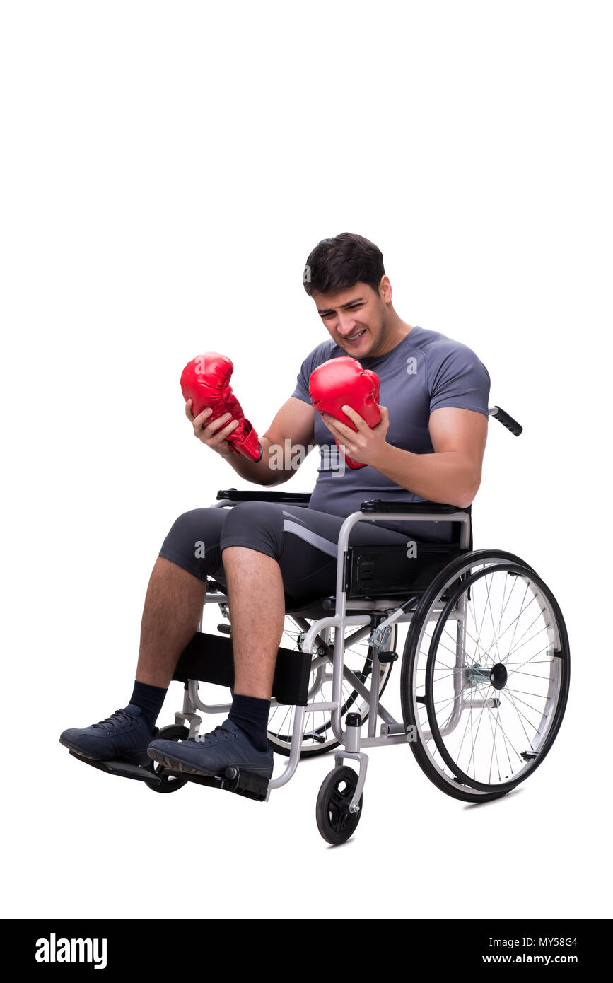 Boxer recovering from injury on wheelchair Stock Photo Alamy