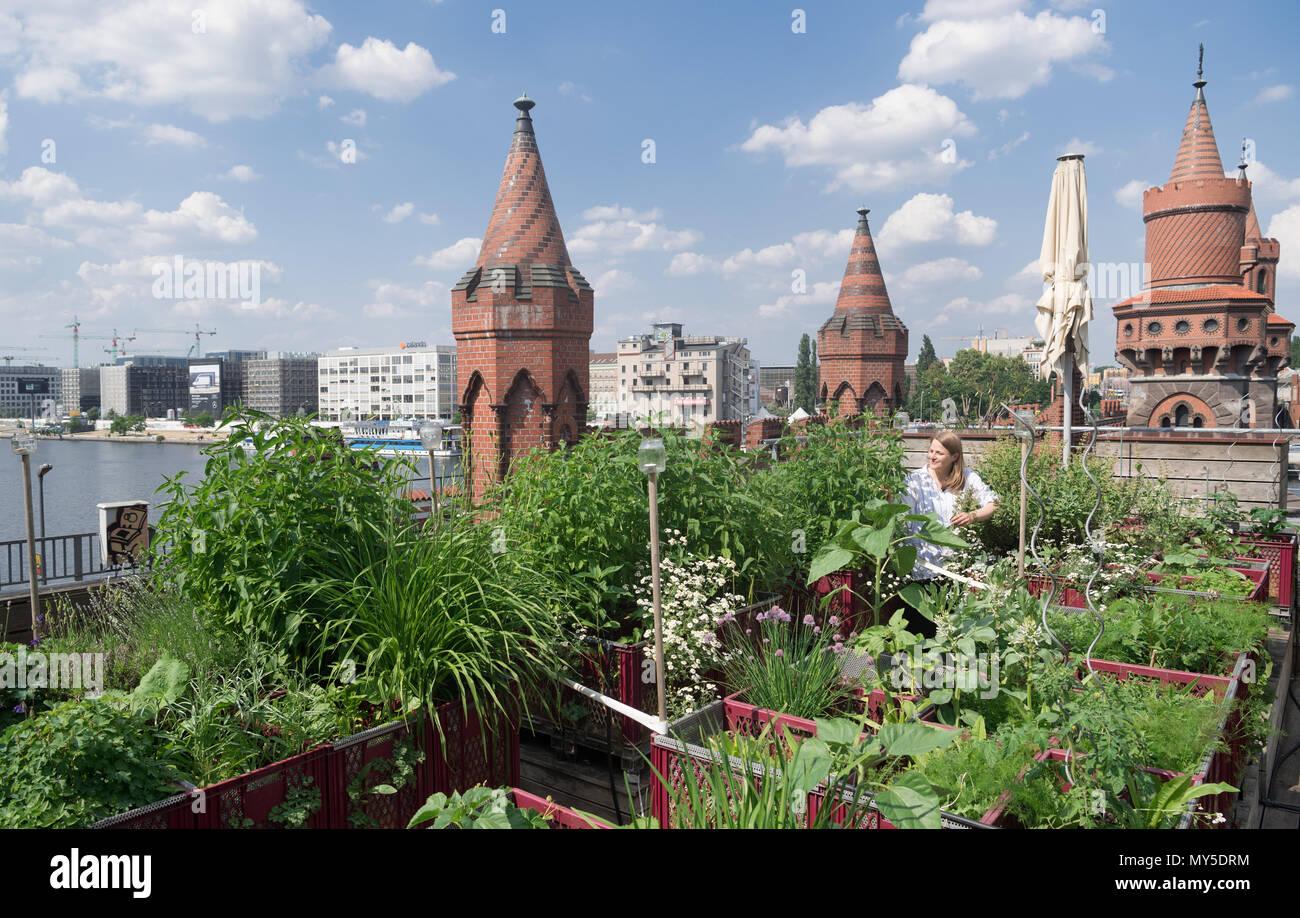 31 May 2018, Germany, Berlin: Employee Johanna Bruecker sits amid plants on the roof terrace of the strategy agency 'Diffferent', which is located at the beginning of the Oberbaumbruecke. Berlin becomes greener and so do many companies. Dull spaces turn into colourful company gardens. Employees are able to take a break in between feverfew and chives. Photo: Soeren Stache/dpa Stock Photo