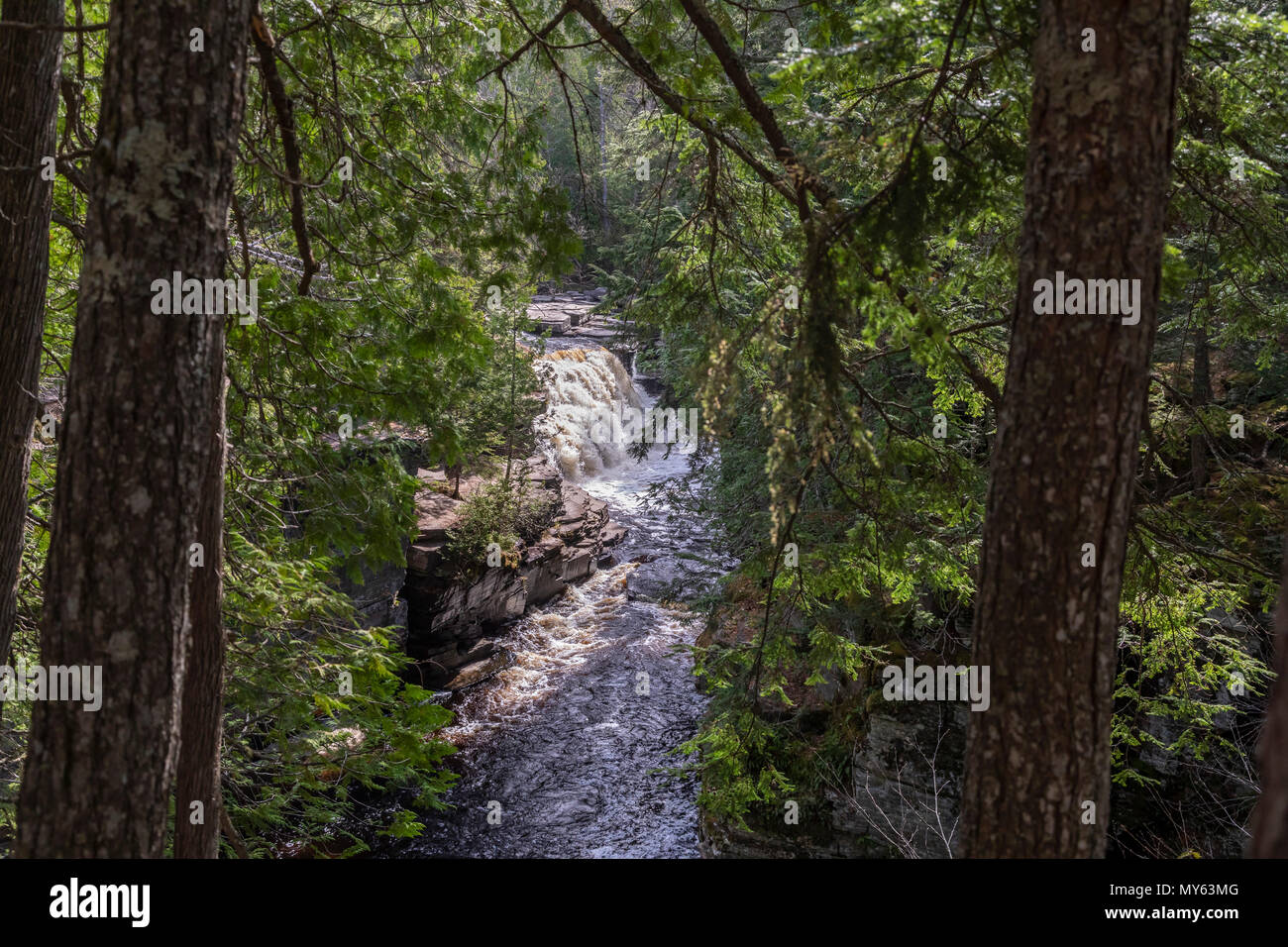 Sturgeon river waterfall hires stock photography and images Alamy