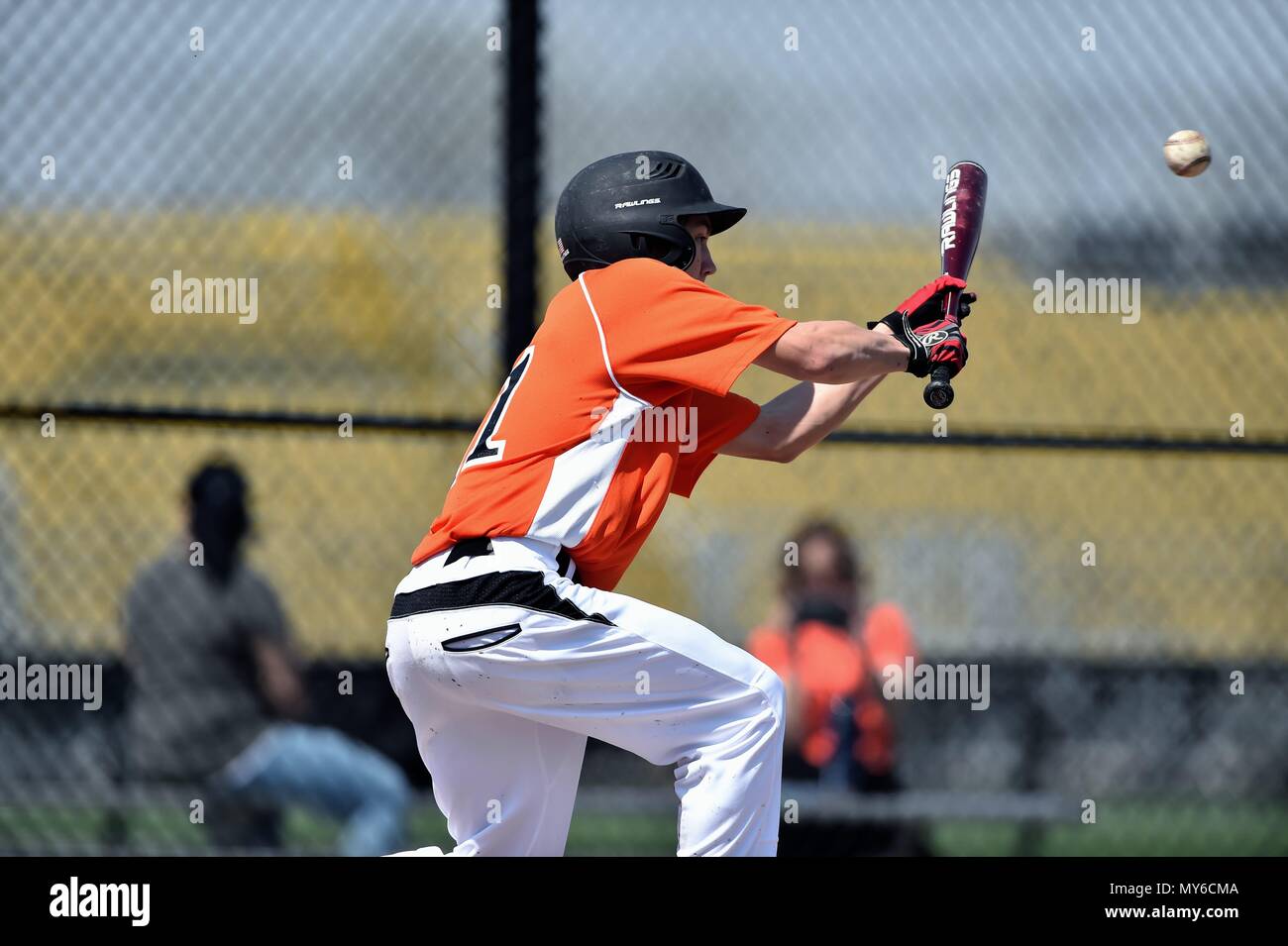 Hitter putting down a successful bunt. USA. Stock Photo