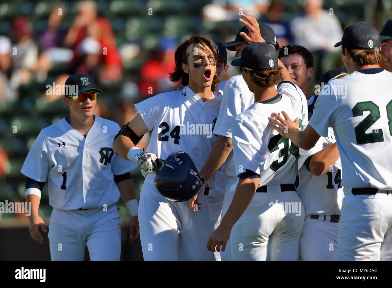 Teammates greet and congratulate player at the plate following his home run. USA. Stock Photo